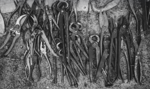 Navigating Mr. Cooper's Third-Party Payoff Requests: A Simplified Guide